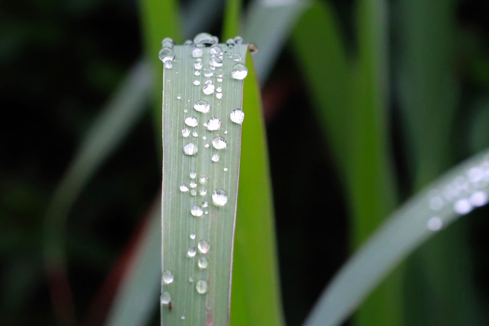 
                  
                    2025年　冬のセール4　リ・ボーン2個
                  
                